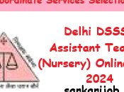 Delhi DSSSB Assistant Teacher (Nursery) Online Form 2024