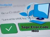 Sage Error Code 1603?