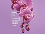 Celebrating Radiant Orchid