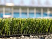 Guest Post: “Should Fake It?: Pros Cons Artificial Lawns” Gabby Roxas