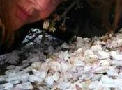 Your Words Flow: Listening Creative Force Inspiration Blogging Writing