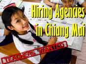 Hiring Agencies Chiang Mai: Teachers Wanted