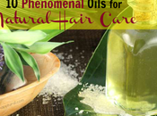 Phenomenal Plant-based Oils Natural Hair