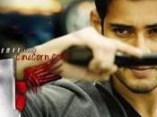 Mahesh’s Nenokkadine Premiere Show Report