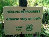 Changes Blog Format: Healing Progress