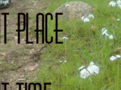 Gift Right Time, Place, Thing