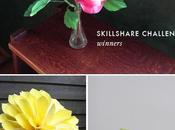 Winners Skillshare Challenge