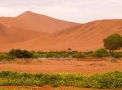 Year, Adventures: Reasons Should Visit Namibia 2024