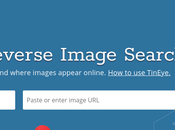 Reverse Image Search Tools 2024 Instant Results