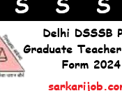 Delhi DSSSB Recruitment 2024