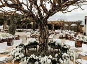Rehearsal Dinner Decorations That Stage Memorable Celebrations