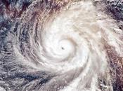 This Typhoon Weather Insurance Phenomenon