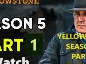 Yellowstone Season Final Date 2024, Part Episode Free Watch