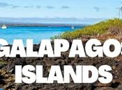 Hotels Galapagos Islands That Will Make Your Trip Extraordinary