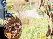 Dumpster Rental: Seven Benefits Removing Yard Waste