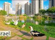 ISRAEL TODAY: Greening Cities Priority Modern Society. City Hadera (video)