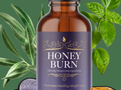 Honey Burn Reviews 2024 Should Burn?