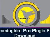 Hummingbird Plugin Free Download [v3.7.4]