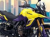 Dream Going Ladakh Bike? Suzuki V-Strom Here, Know Price Kolkata