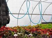 Organic Farms Cause Unintended Harm? Research Shows That Pesticides Adjacent Fields Increasing