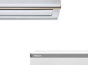 Gerbera Life Scorching Heat, These Cheap Now, Price Will Later