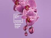 Radiant Orchid: Pantone Color Year 2014