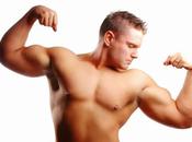 Best Ways Increase Muscles Size