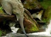 These Will Make Smile!