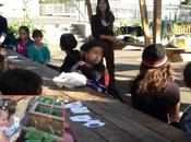 Fresh-from-the-Garden Cabbage Slaw