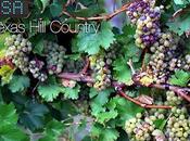 Texas Hill Country Named Best Wine Travel Destinations 2014 Enthusiast Magazine