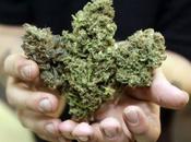 Public Support Legalizing Marijuana Soaring