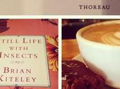 Tidbit from Miss Golightly