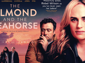 Almond Seahorse Release News