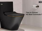 Kohler Toilet Commodes Reign Supreme: Closer Look