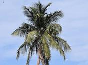 Blue வானம் நீயும் நானும்