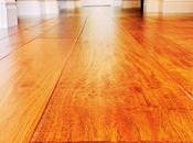 Restoring Your Hardwood Floors: Guide Water Removal