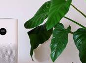 Understanding CADR: Clean Delivery Rate HVAC Systems