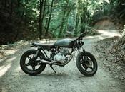 Explore Exciting Features 2024 Honda Motorcycles: In-Depth Review