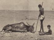 Crisis Zambia India Suffered Famines During British