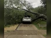Storms Leave Trail Damage North Texas