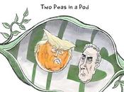 Trump/Kennedy Peas