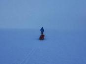 Antarctica 2013: Then There One...