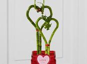 Valentine's Ideas