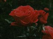 Vancouver Sleep Clinic GXNXVS "Hold We're Going Home" (Drake Cover)