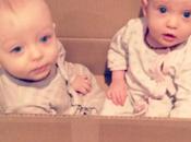 Twins Boxed 29/365