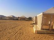 Prismma Holiday 2014