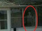 "There Were Swarms Dead Horseflies Porch Swept Only Return Equal Abundance Next."