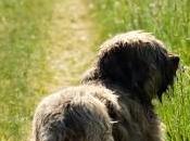 Stop Your from Sidewalk Tempation