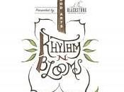 2014 Rhythm Blooms Knoxville,