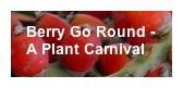 Botanical Warfare–The February Berry Round Carnival